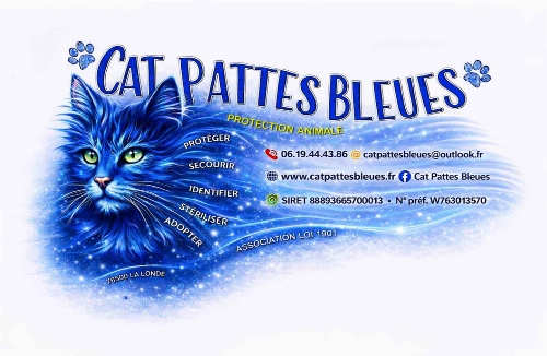 Logo ASSOCIATION CAT PATTES BLEUES
